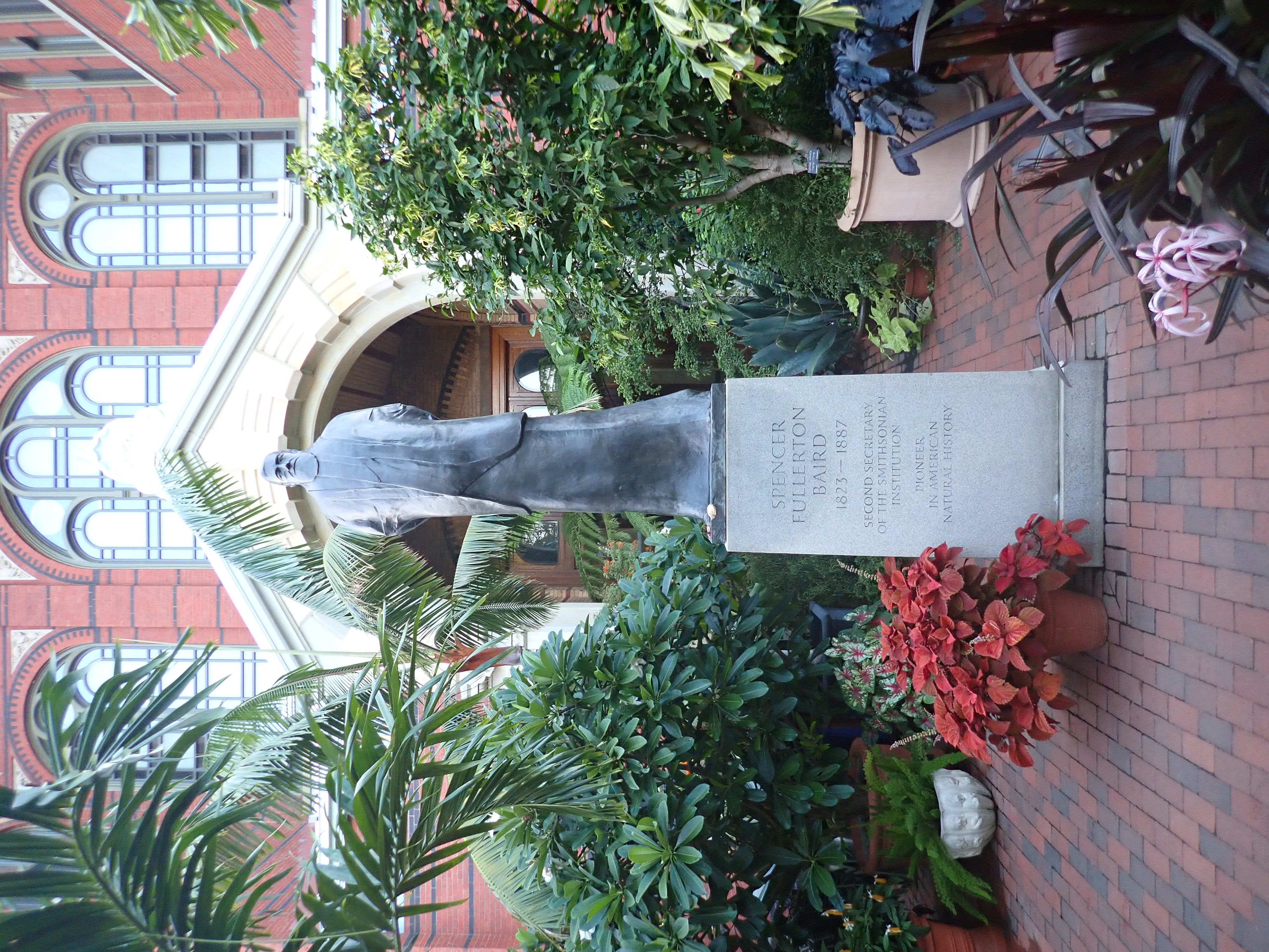 Statue surrounded by foliage with a building in the background.