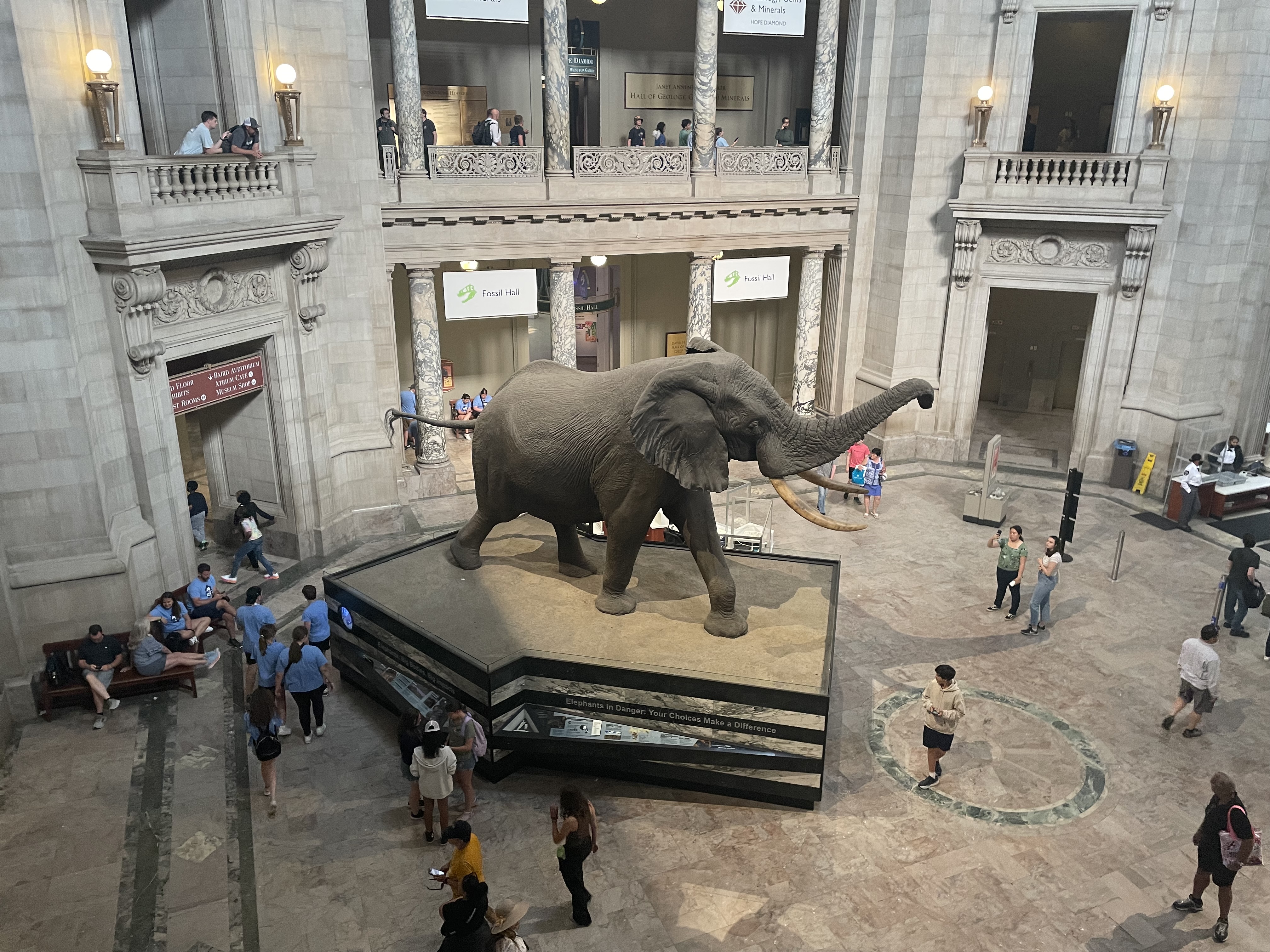 Modern image of the NMNH Rotunda taken from above.