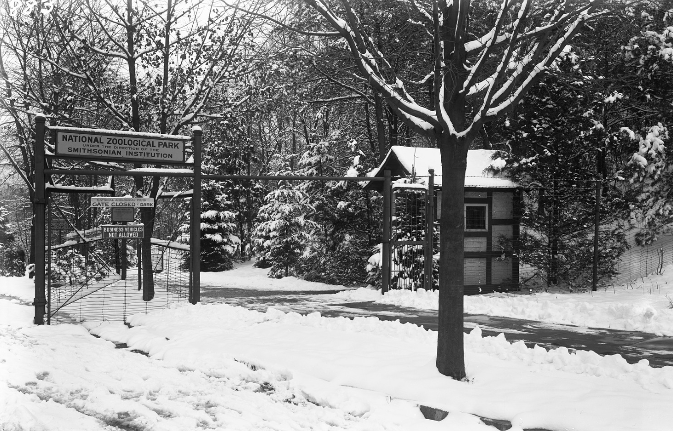 Black and white photo of a entrance gate covered in snow.