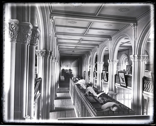 Black and white image of exhibits in the Castle's Great Hall, 1880.
