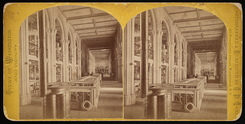 Exhibits on display in the Castle’s Great Hall, 1865.